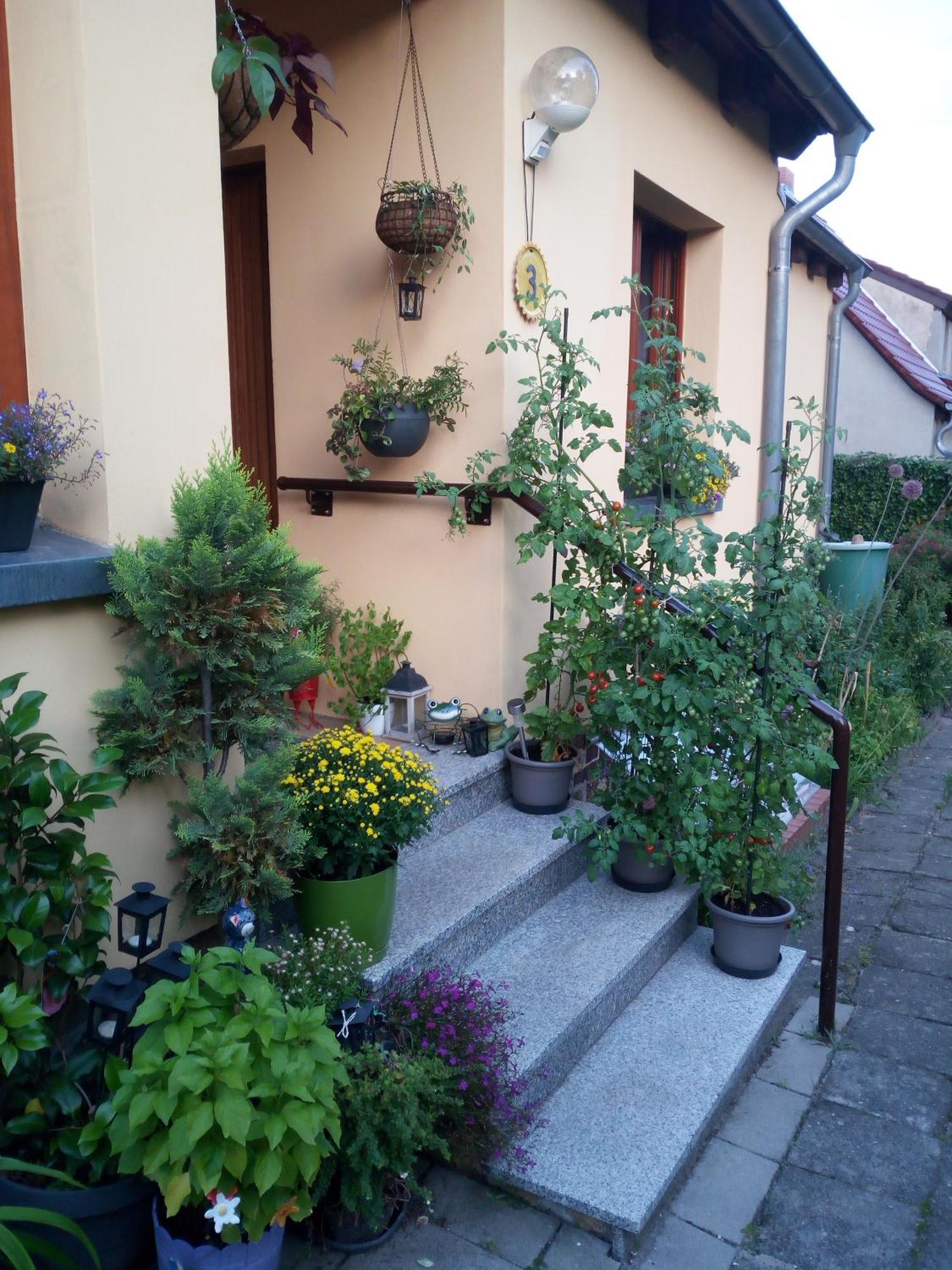 Unterkunft Mohr Wiesenburg Exterior foto